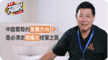 �й�ͨ�׵�����ƫ�� �Ǳ����߹�ģ������������ı��֮·