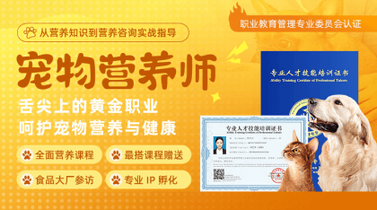 ����Ӫ��ʦ