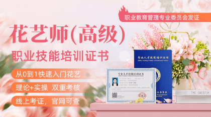 ����ʦ(�߼�)