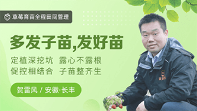 �෢���磬��������������